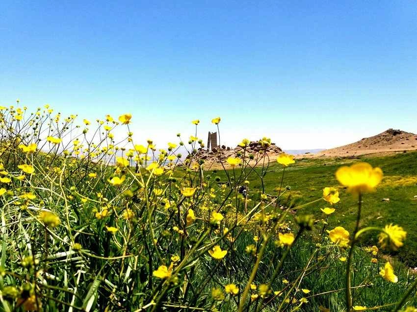 بهار طبیعت در تابستان همدان؛ سفر به شهری پرطراوت +بهترین زمان سفر به همدان